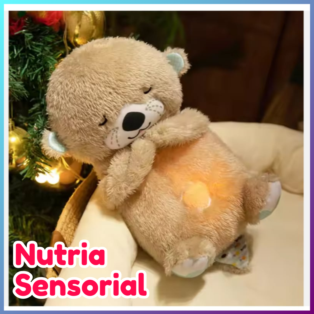 NUEVA NUTRIA SENSORIAL